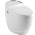 Salle de bain New Design Intelligent Toilet (JN30603)